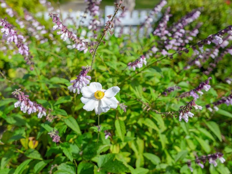 Nature Lovers Dream Hikes Fireplace