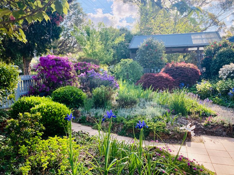 Nature Lovers Dream Hikes Fireplace