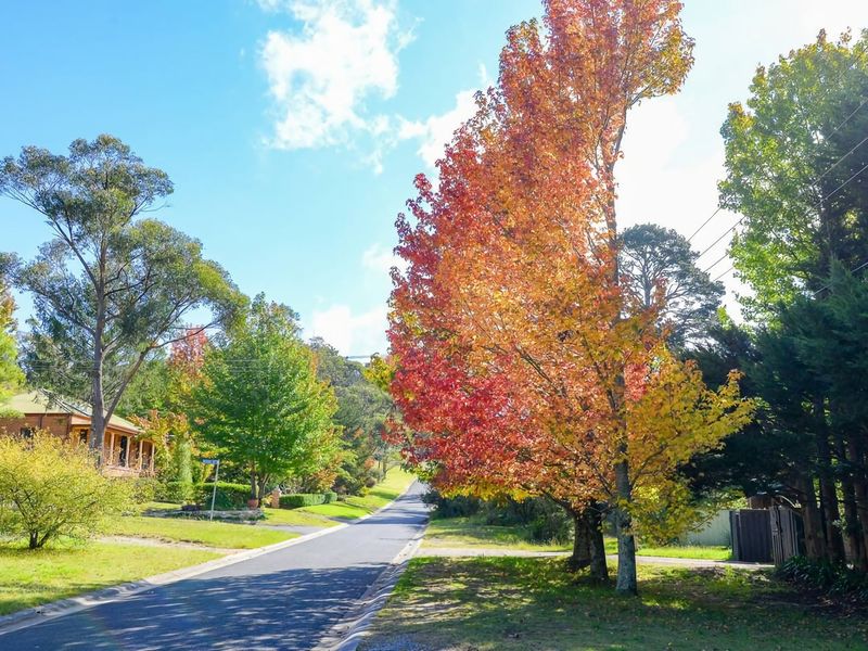 Nature Lovers Dream Hikes Fireplace