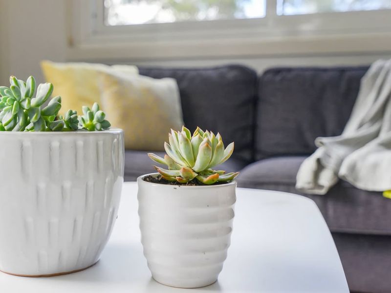 Nature Lovers Dream Hikes Fireplace