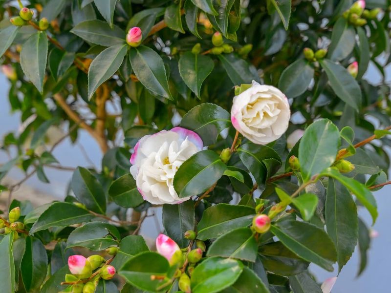Nature Lovers Dream Hikes Fireplace