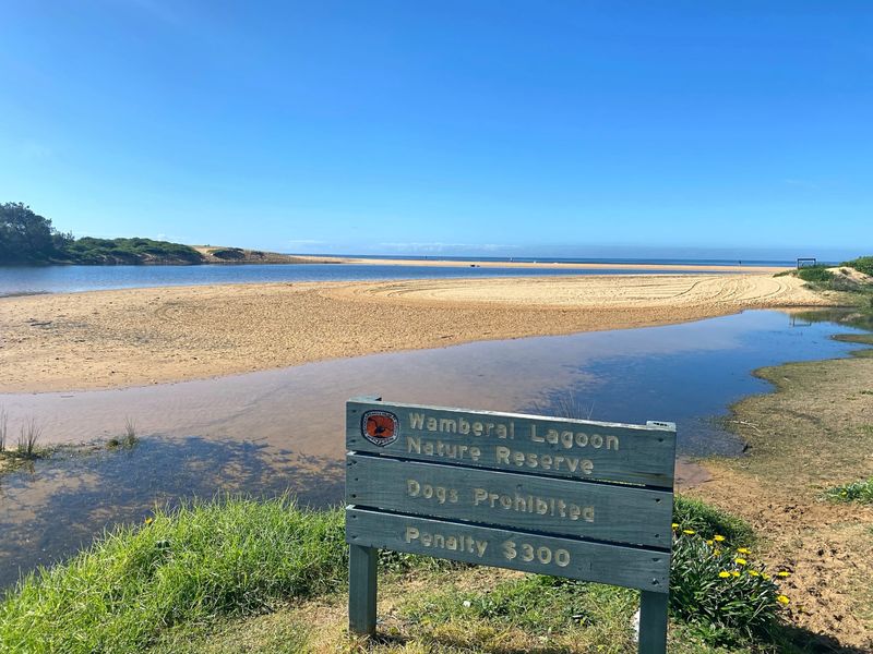 Holiday Home with Ocean Views Wamberal