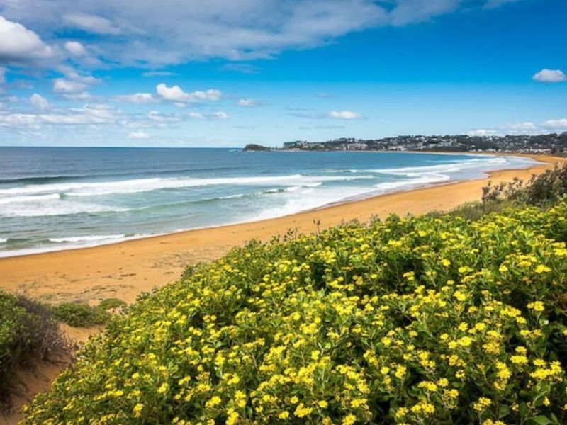 Holiday Home with Ocean Views Wamberal