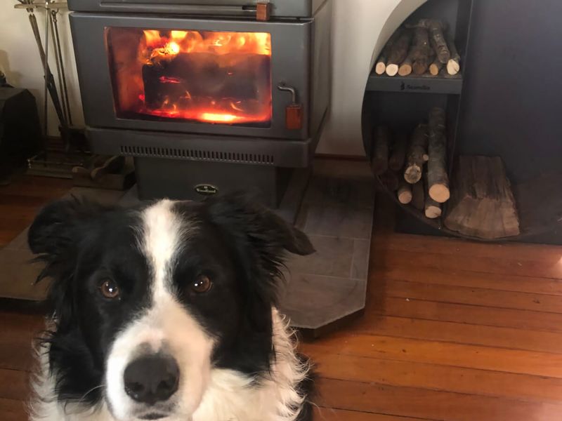 Malvern Cottage Retreat Pet Friendly