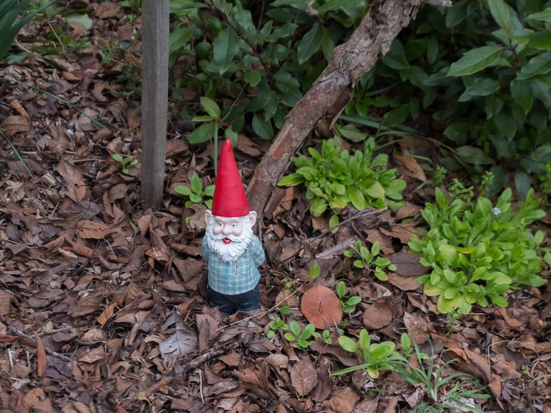 Malvern Cottage Retreat Pet Friendly