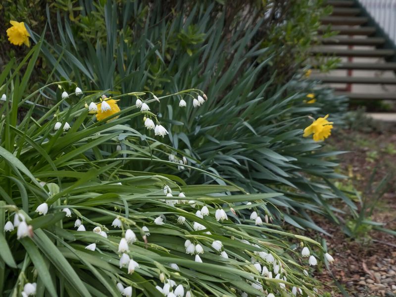 Malvern Cottage Retreat Pet Friendly