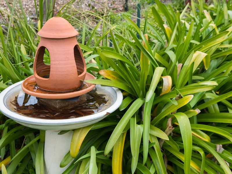 Malvern Cottage Retreat Pet Friendly