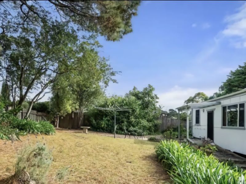 Deodar Cottage Amid Century Old Trees