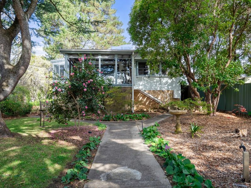 Deodar Cottage Amid Century Old Trees