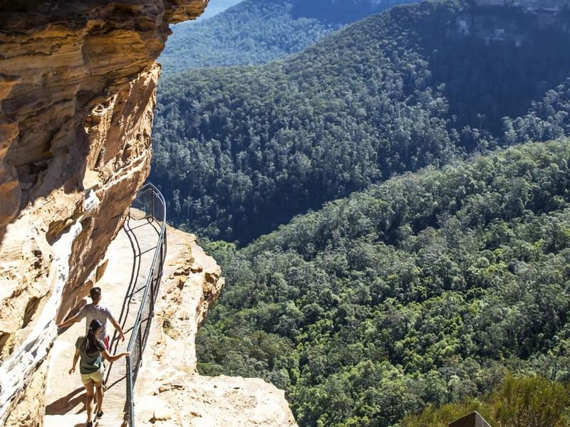 Deodar Cottage Amid Century Old Trees