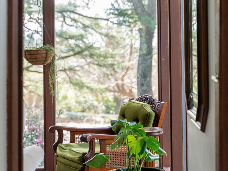 Deodar Cottage Amid Century Old Trees