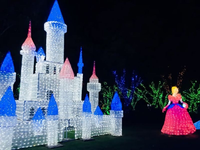 Wine Down 700m walk to Cessnock CBD