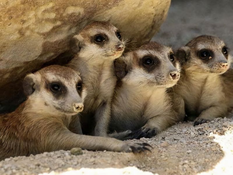 Wine Down 700m walk to Cessnock CBD