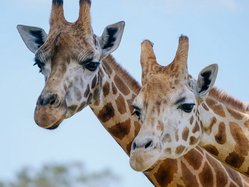 Beach House Ocean Views in Batehaven