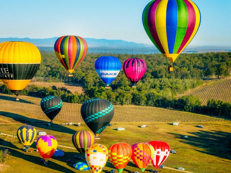 Vineyard Oasis Heart of the Hunter