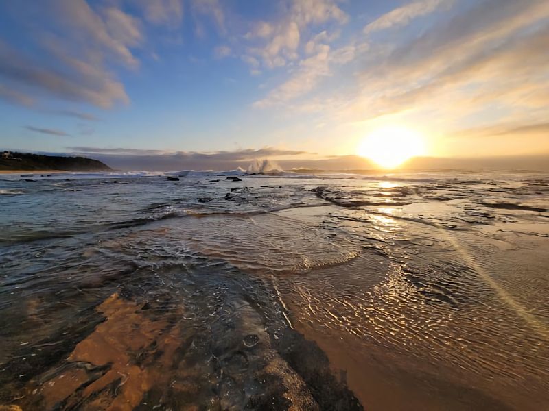 Cute Beach Escape 50m to Wamberal Beach