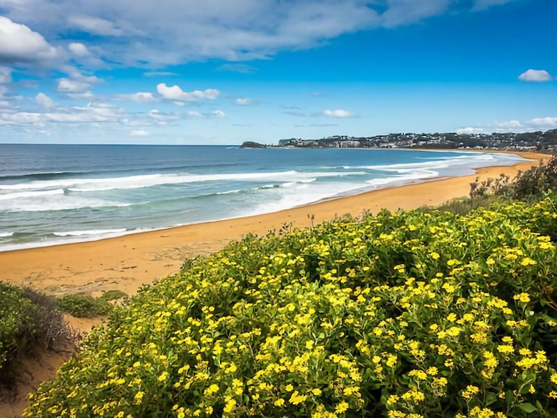 Cute Beach Escape 50m to Wamberal Beach