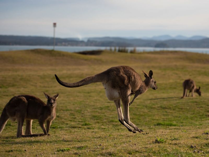Maloneys Beach Views 3 Bed Home