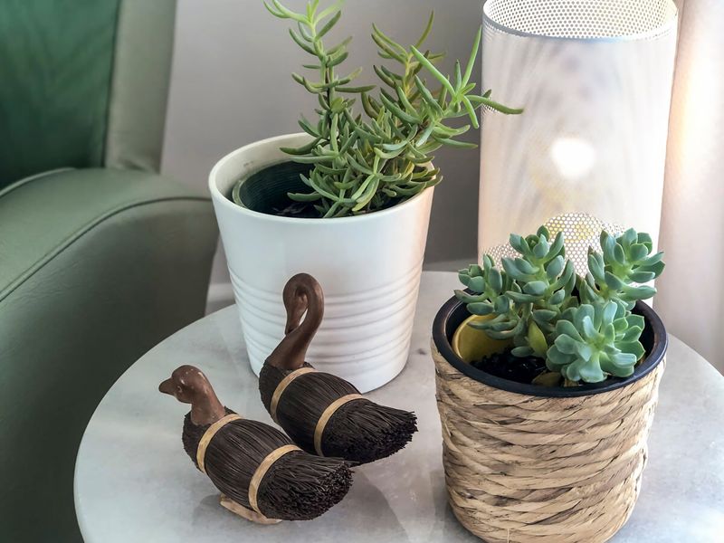 Lake Front Home Relax Unwind