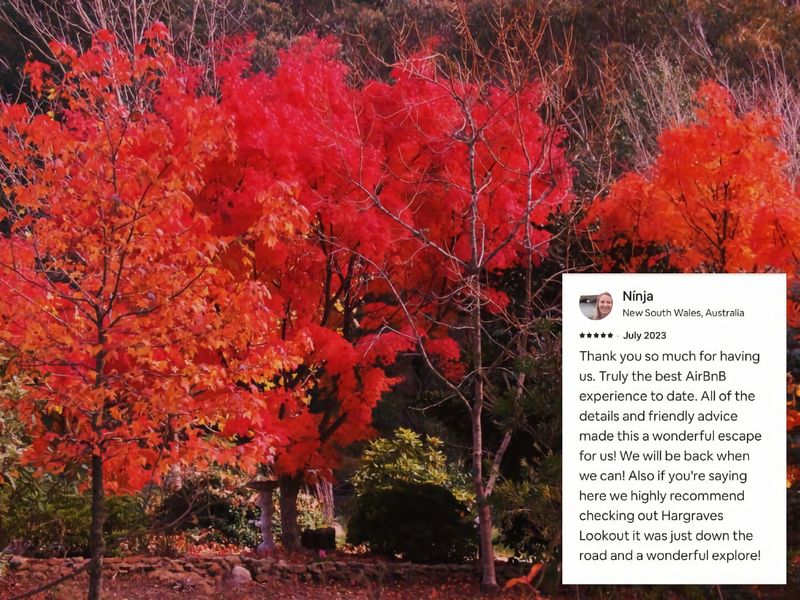 Romantic Tricklebeck Spa Cottage