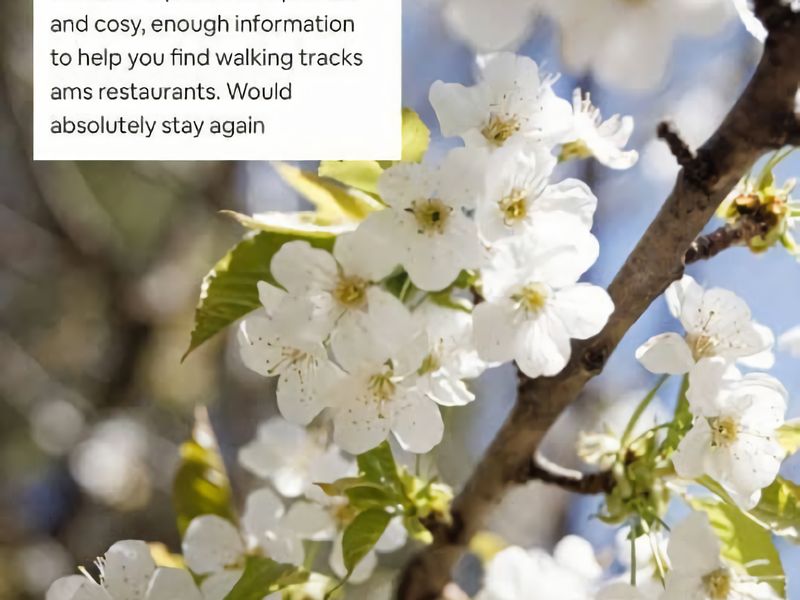 Romantic Tricklebeck Spa Cottage