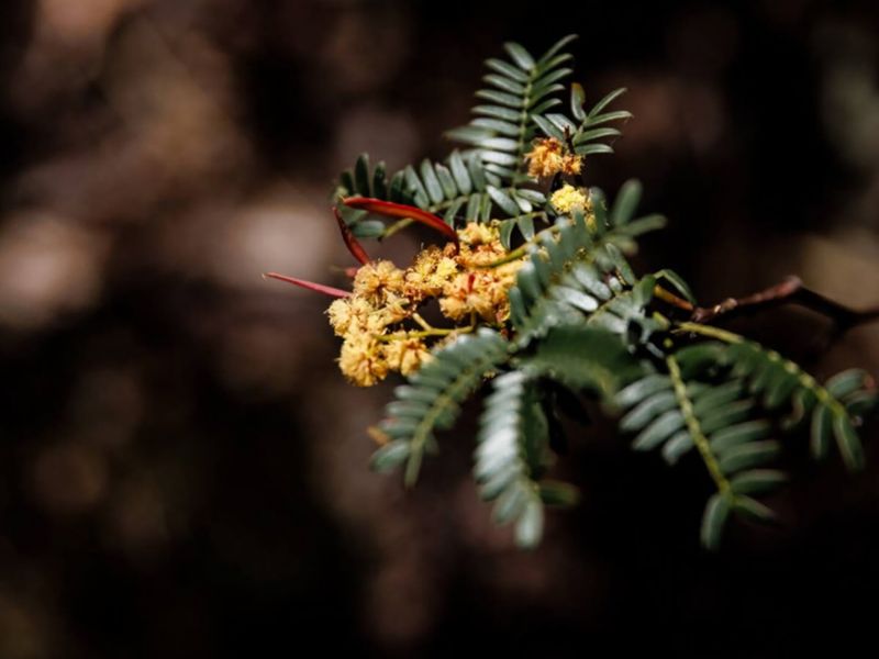 Romantic Tricklebeck Spa Cottage