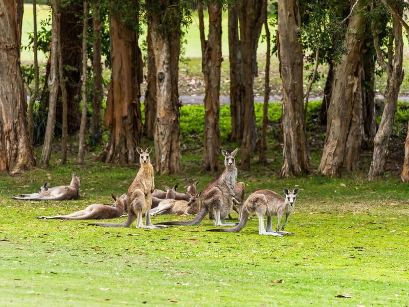 Hitters Paradise Stay Play