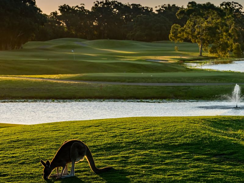 Hitters Paradise Stay Play