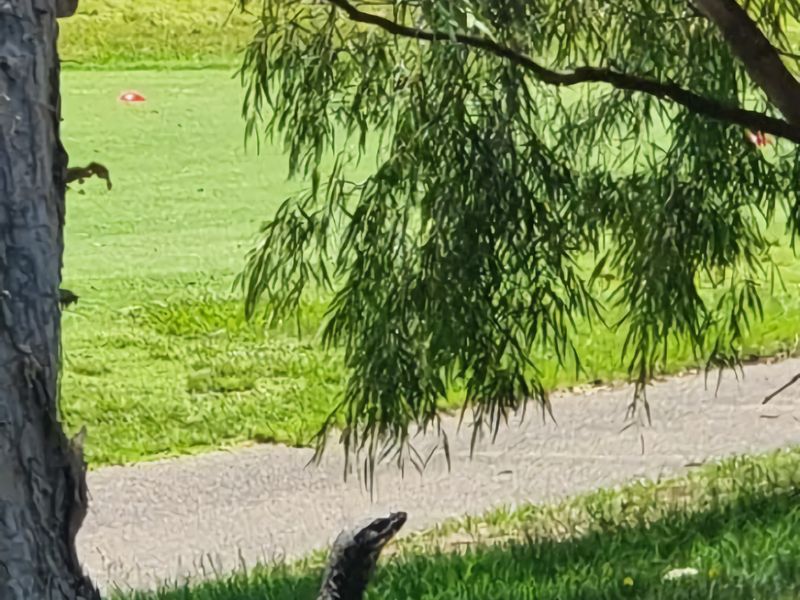 Hitters Paradise Stay Play