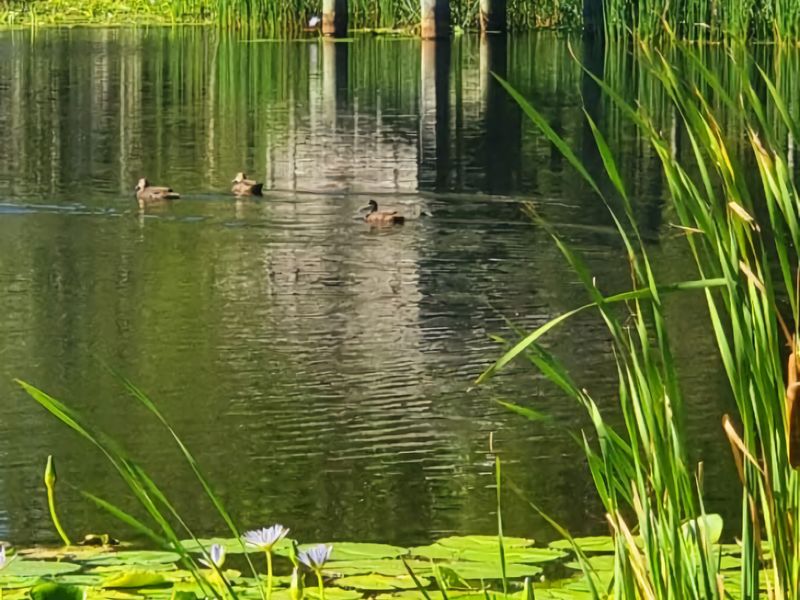 Hitters Paradise Stay Play