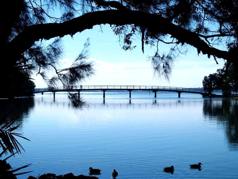 Budgewoi Waterfront Haven