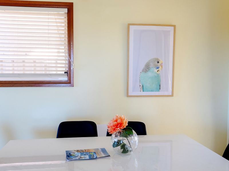 Coastal Delight In Shellcove