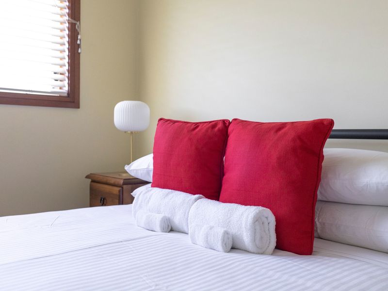 Coastal Delight In Shellcove