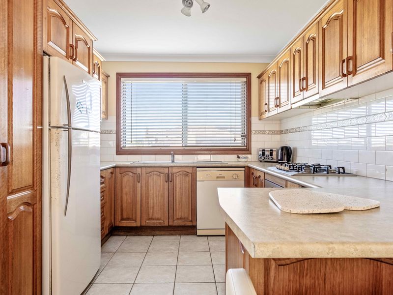 Coastal Delight In Shellcove