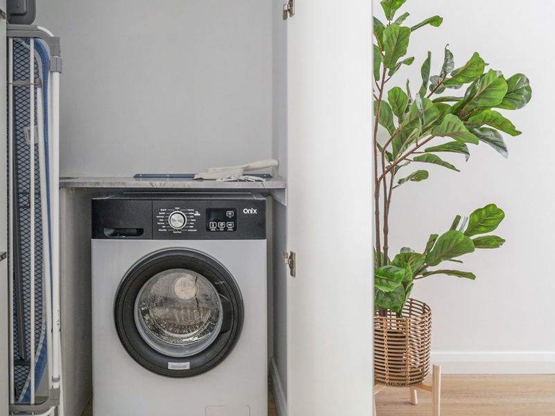 Tranquil Haven in Balmain