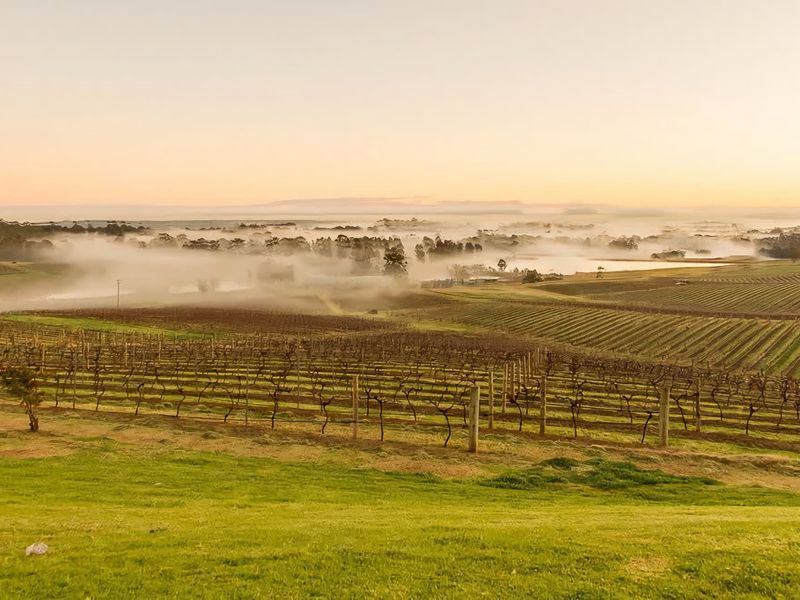 Refreshing Valley Escape