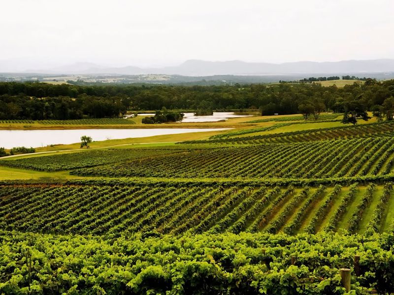 Refreshing Valley Escape