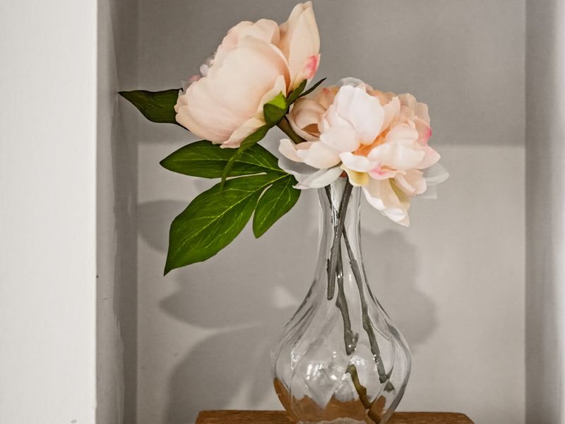 Refreshing Valley Escape