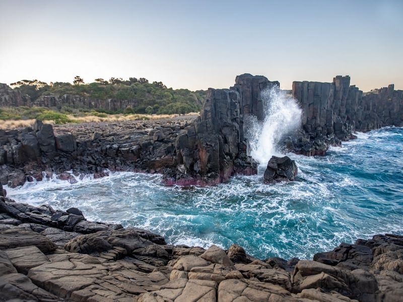 Coast and Roast – Sunny Shell Cove Escape