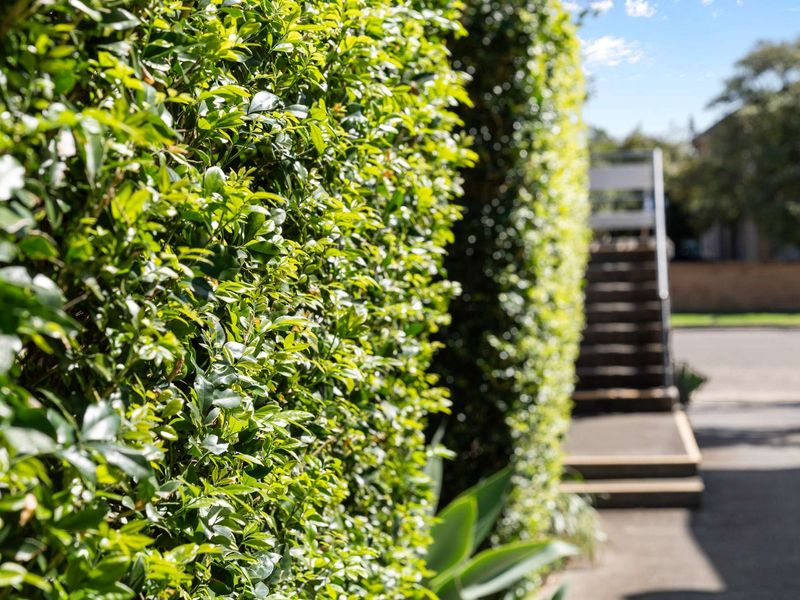 Beach & Brew-Modern 1-Bedroom in Trendy Merewether