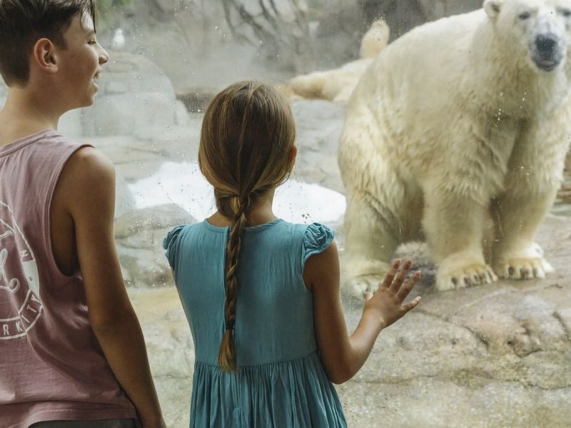 Get up close with the wildlife. Plan your unforgettable family day out at Sea World during your stay!