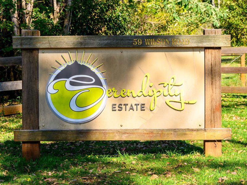 Three Pines Tiny Home Your Mountain Escape