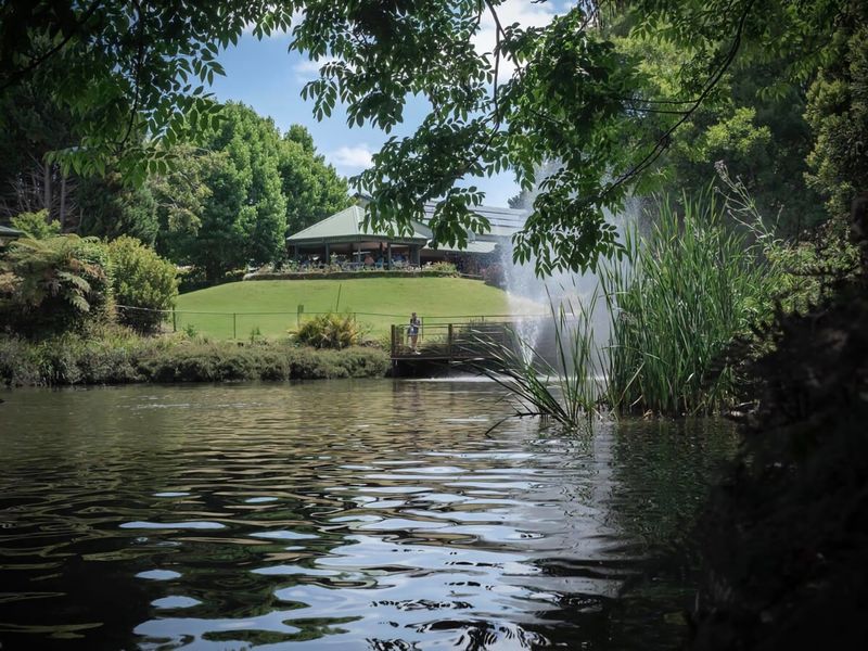 Explore the lush rainforests and winding trails of Tamborine National Park, where you can discover breathtaking waterfalls, abundant wildlife, and panoramic views from the mountain lookouts.