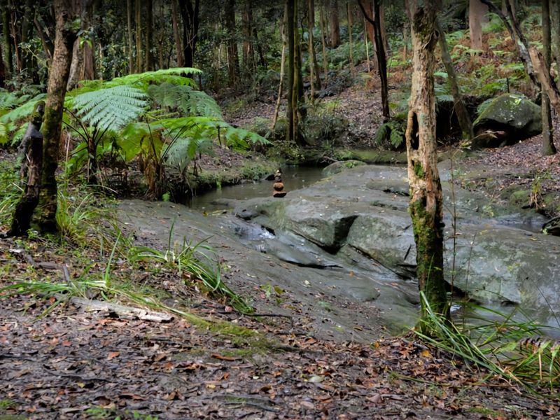 2BDR Brand New Apt Moments from RNSH St Leonards