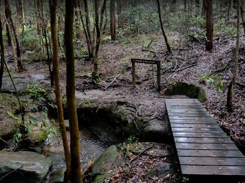 2BDR Brand New Apt Moments from RNSH St Leonards