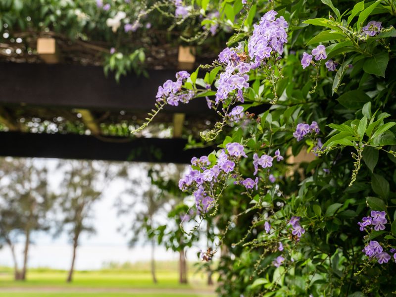 Pool and Spa on the Lakefront – Main House