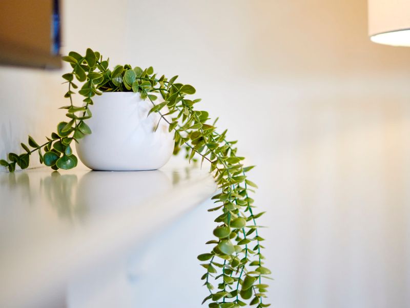 Greenery adds a serene touch