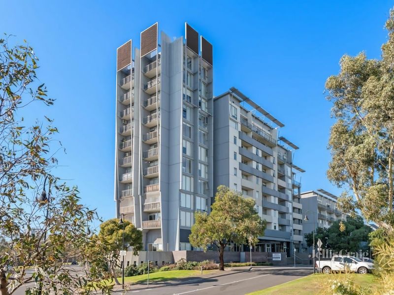 The Gallop Kensington