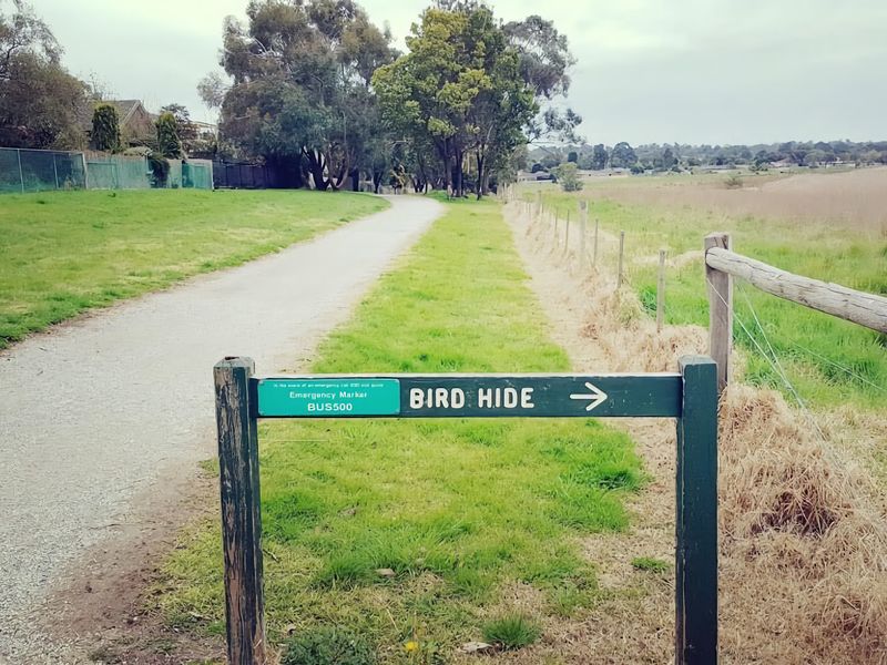 Visit Bird Hide