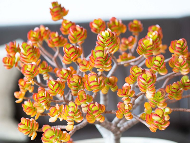 Artistic details add a unique and stylish touch to the home